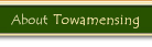 Link to the Inside Towamensing page